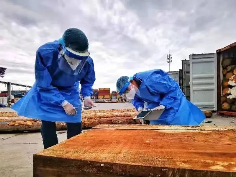 China cusotms inspection on imported timber